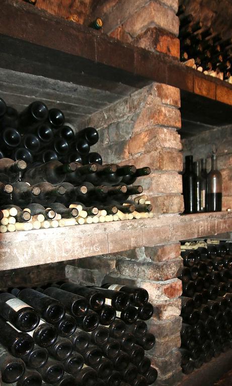 Penzion A Restaurace U Hroznu Velke Bilovice ภายนอก รูปภาพ